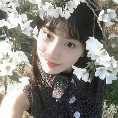 小鱼儿与花无缺